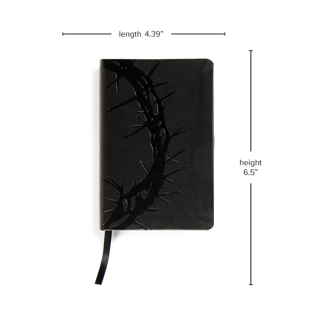 KJV Bible