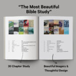 Graceful and Blessed Bible Study - Vol 1