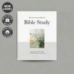 Graceful and Blessed Bible Study - Vol 1