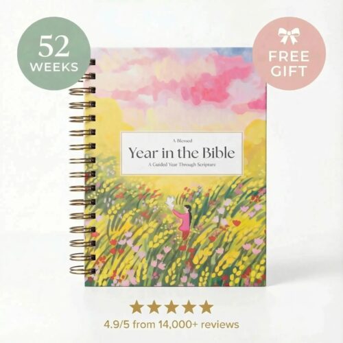 A Blessed Year in the Bible Study